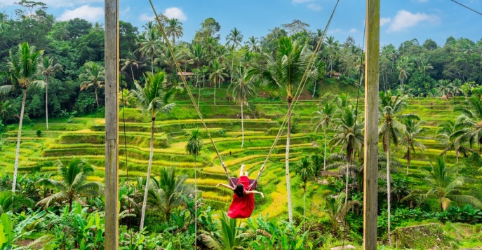 Осмотр рисовых террас Тегалаланг - остров Бали, Индонезия