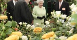 «Chelsea Flower Show» в Великобритании посетят 200 тысяч туристов