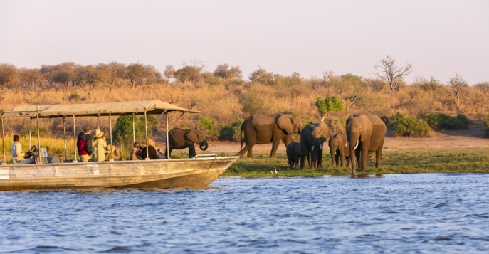 Национальный Парк Чобе, Ботсвана